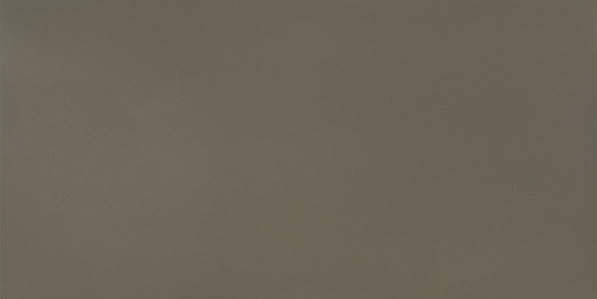 Fossil Brown Quartz Countertops - Image 2