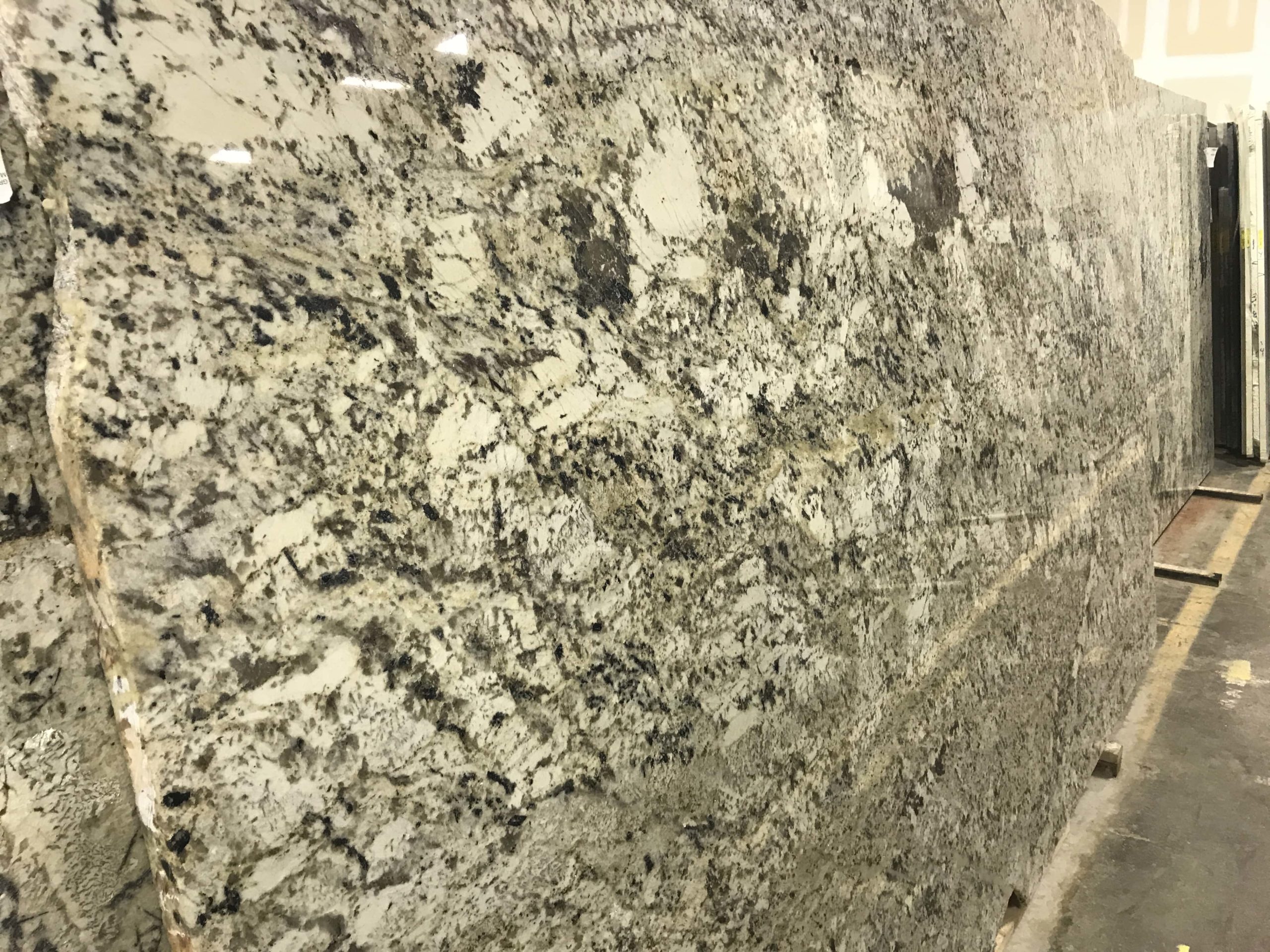 Delicatus Magnifico Granite Countertops - Image 2