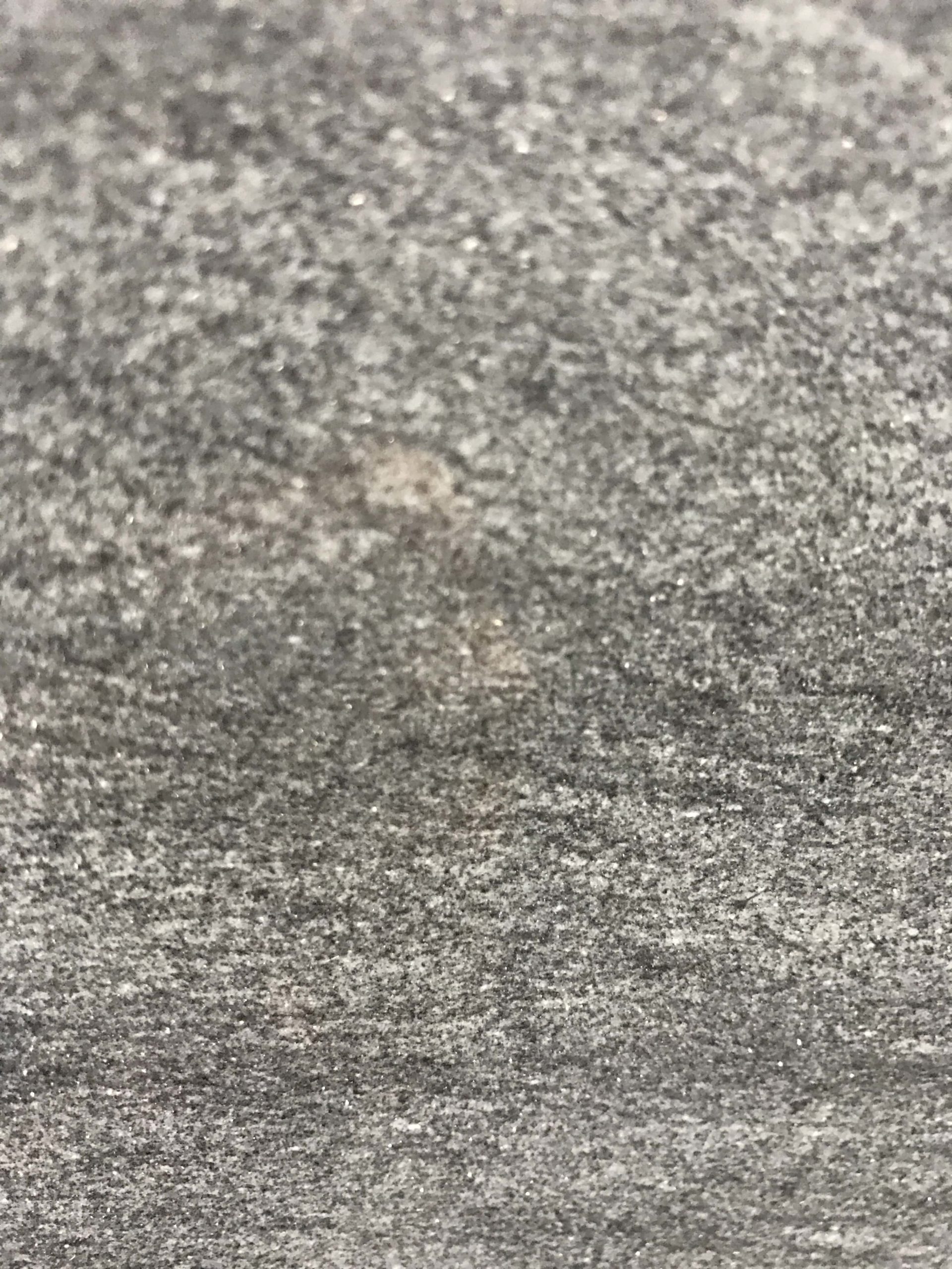 Carbon Grey Quartzite Countertops