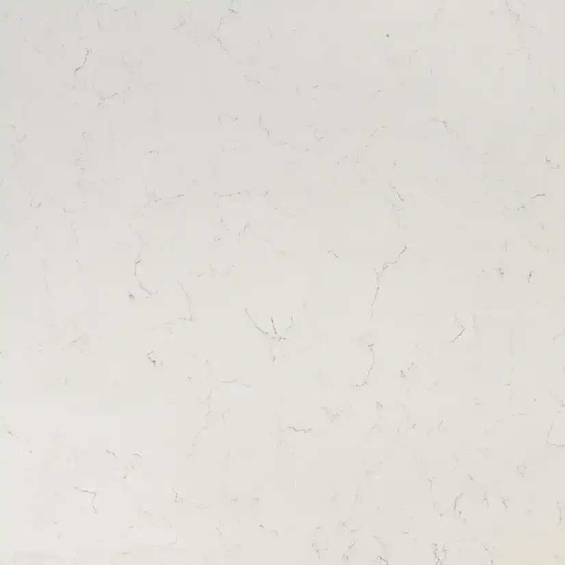 Carrara Delphi Countertops